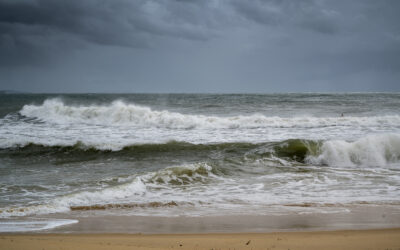 Meer aandacht voor ‘Movementsnacks’