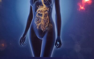 Zo kalmeer je je nervus vagus: de snelweg tussen je brein en je buik